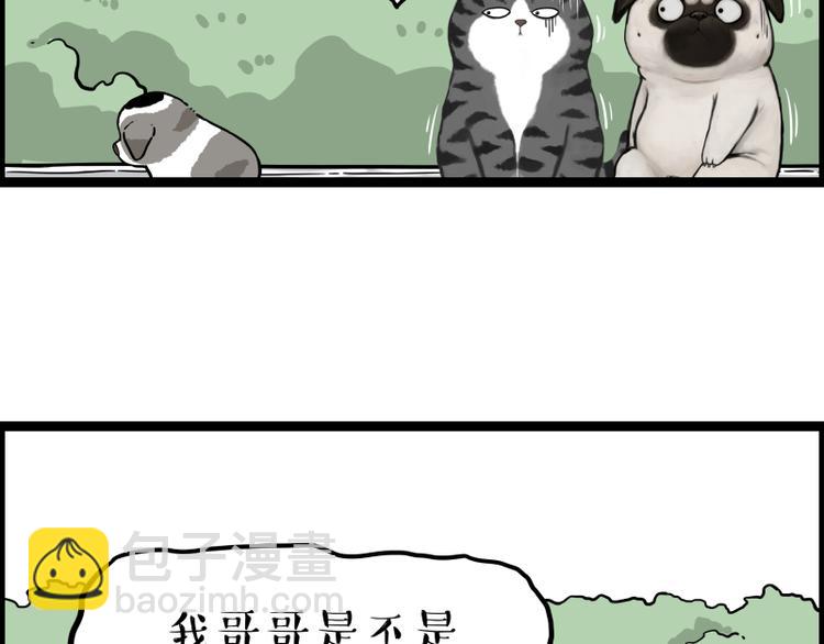 第267话 不让你流浪81