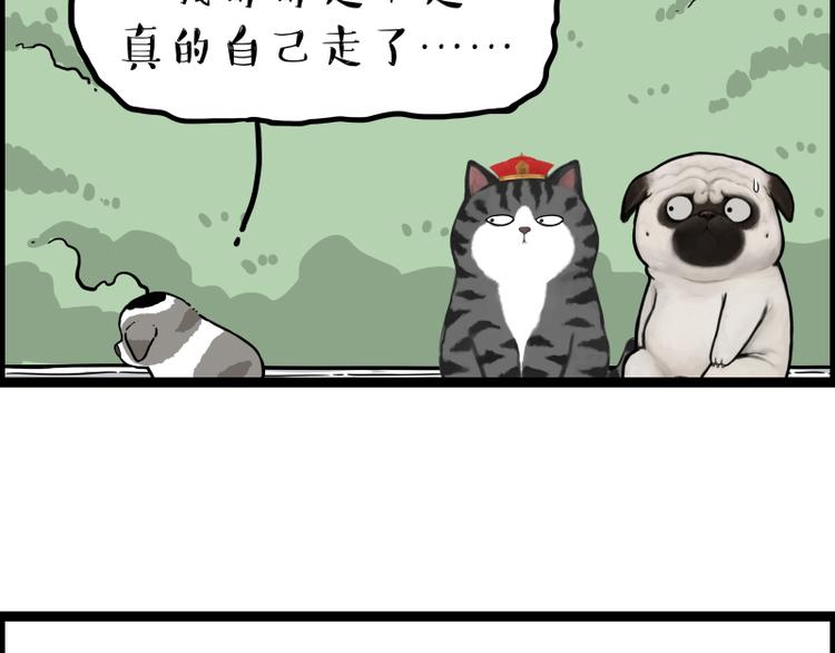 第267话 不让你流浪82