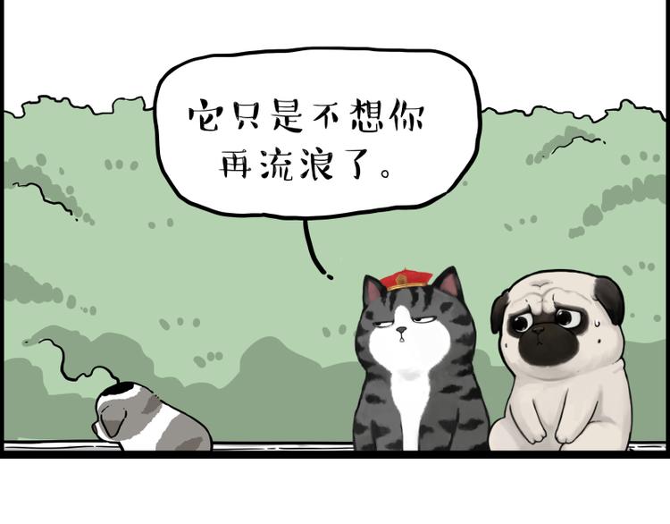 第267话 不让你流浪83