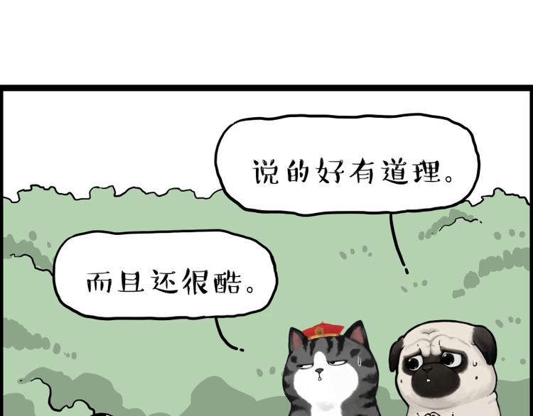 第267话 不让你流浪86