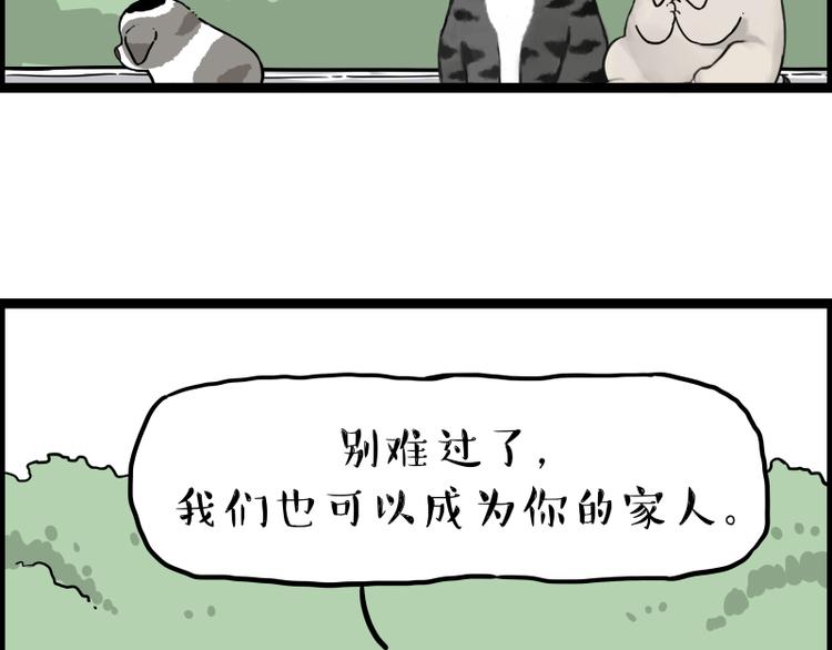 第267话 不让你流浪87