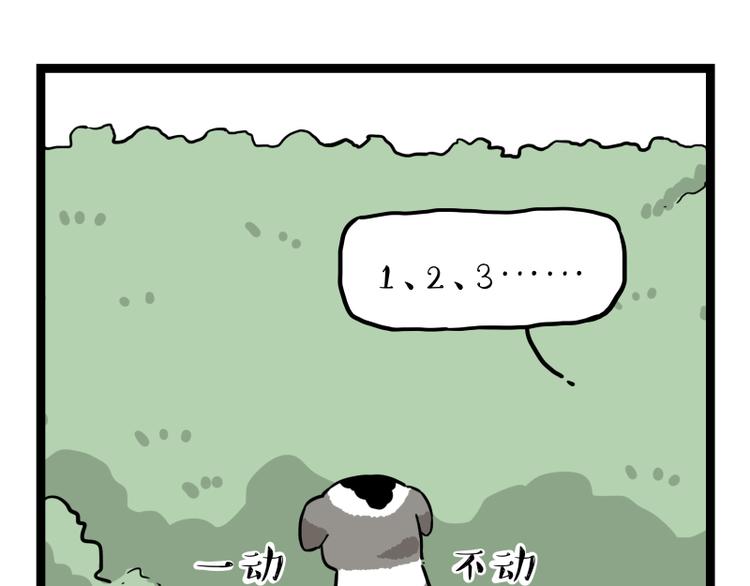 第267话 不让你流浪90