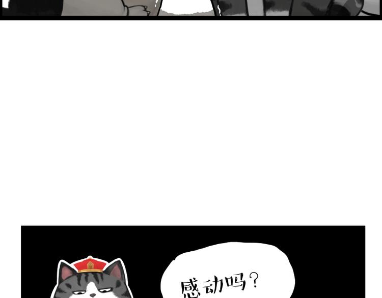 第267话 不让你流浪96