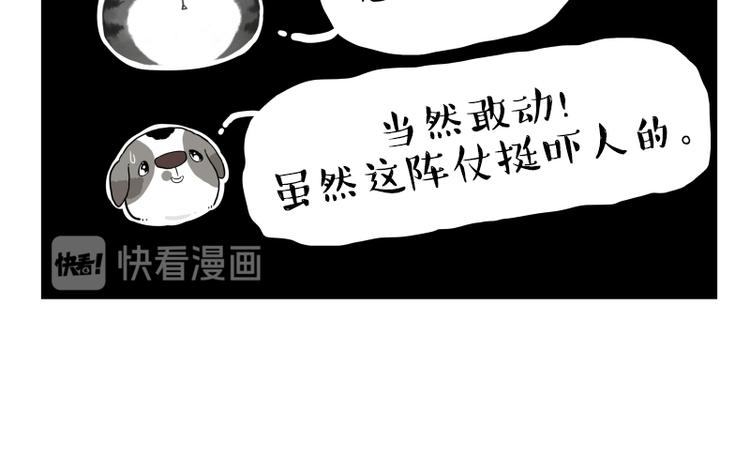 第267话 不让你流浪97