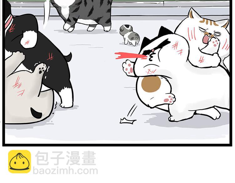 第269话 跟我回家吧12