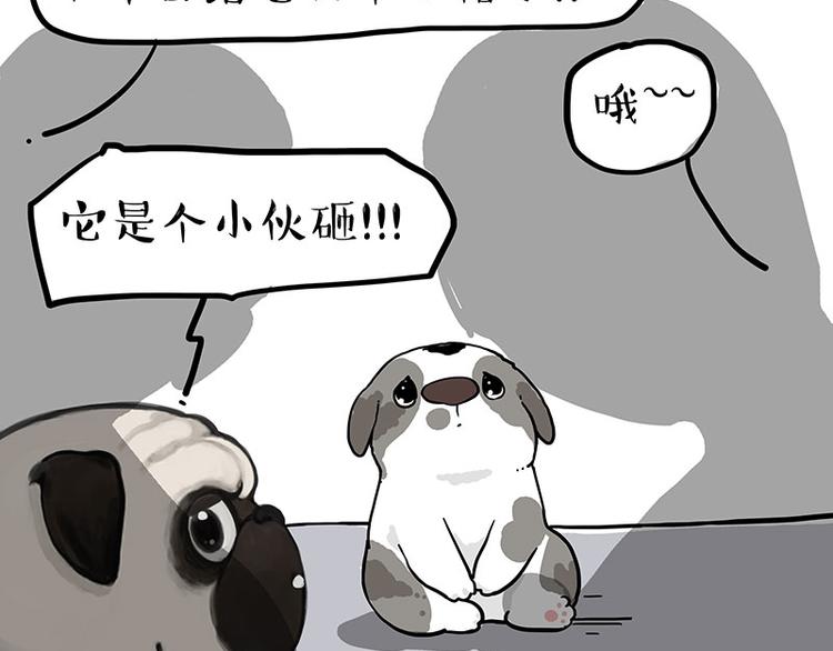 第269话 跟我回家吧21