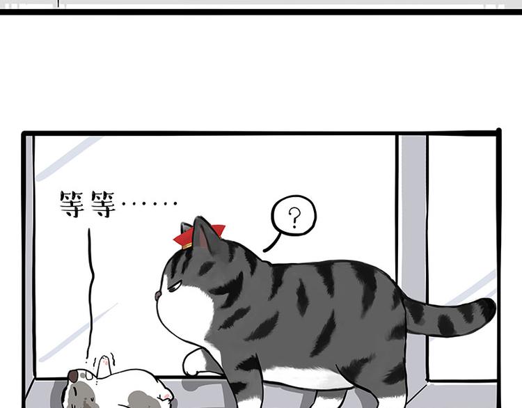 第269话 跟我回家吧36