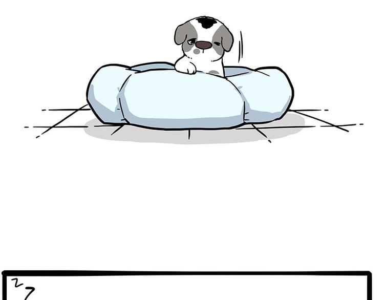第270话 胖老猫你个大骗子！1