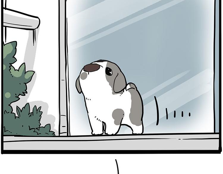 第270话 胖老猫你个大骗子！12