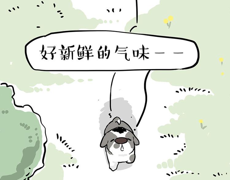 第270话 胖老猫你个大骗子！14