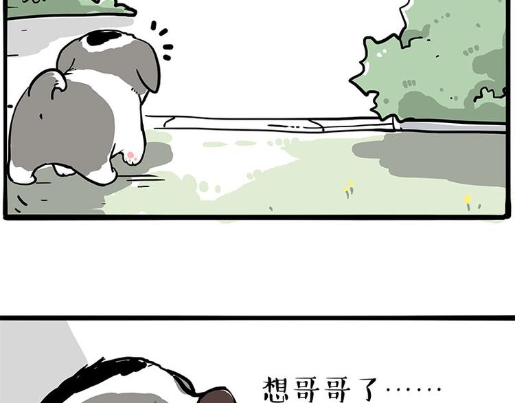 第270话 胖老猫你个大骗子！17