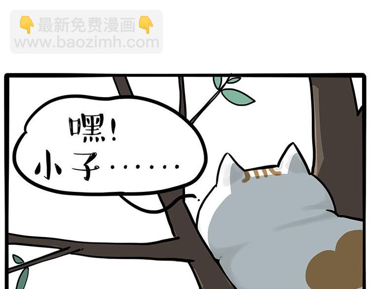 第270话 胖老猫你个大骗子！19