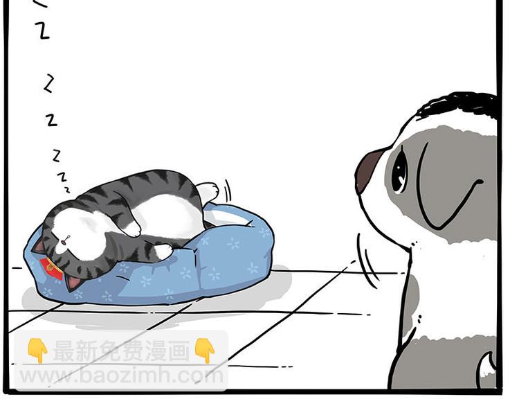 第270话 胖老猫你个大骗子！2