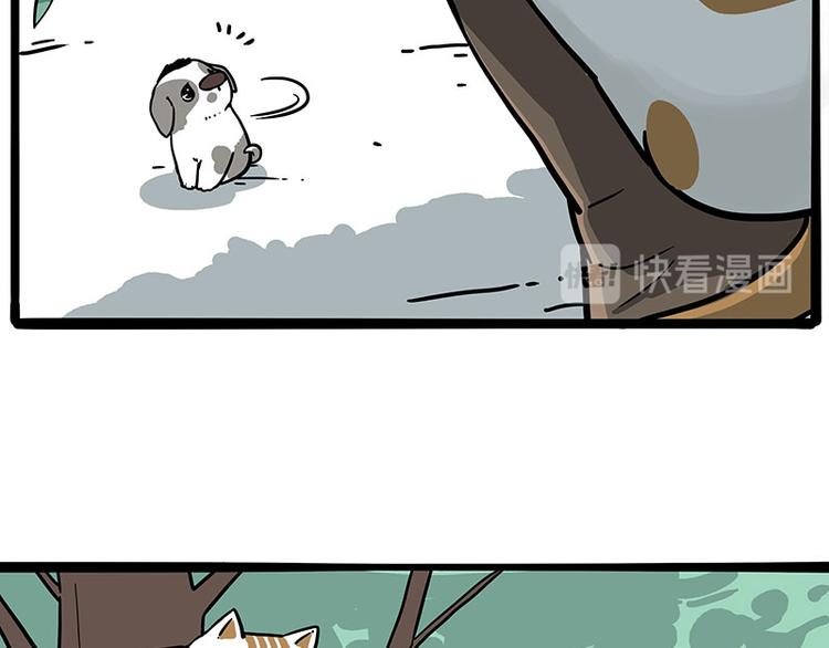 第270话 胖老猫你个大骗子！20