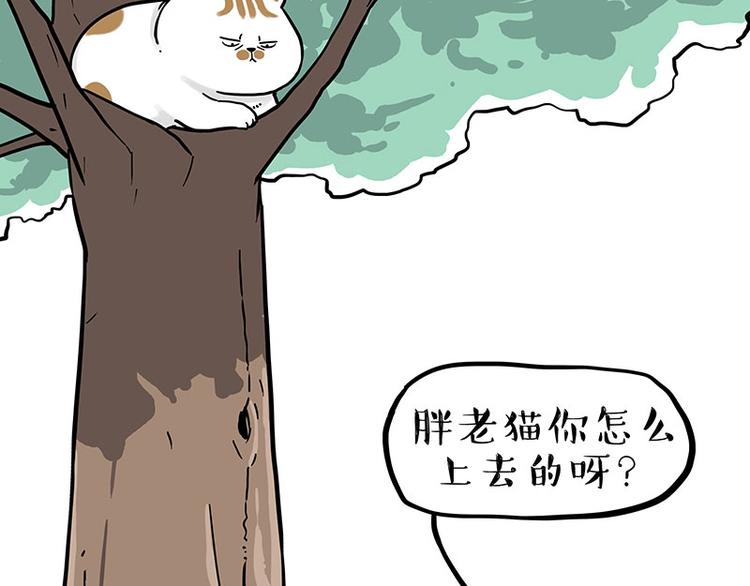 第270话 胖老猫你个大骗子！21