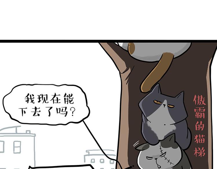 第270话 胖老猫你个大骗子！24