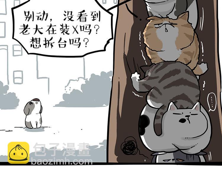 第270话 胖老猫你个大骗子！25