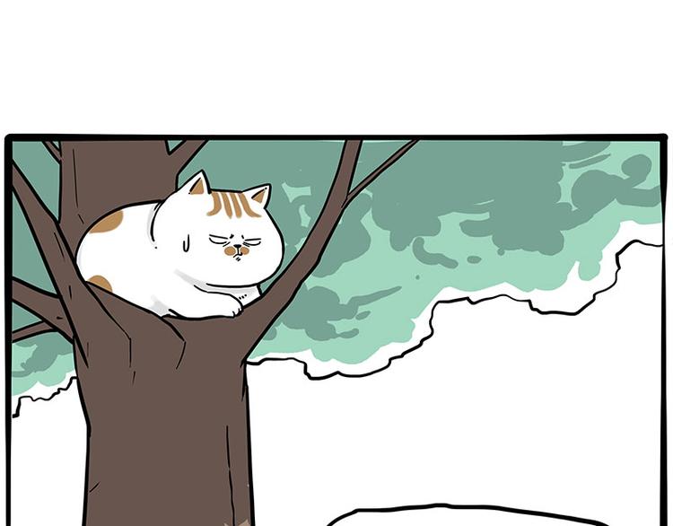 第270话 胖老猫你个大骗子！26