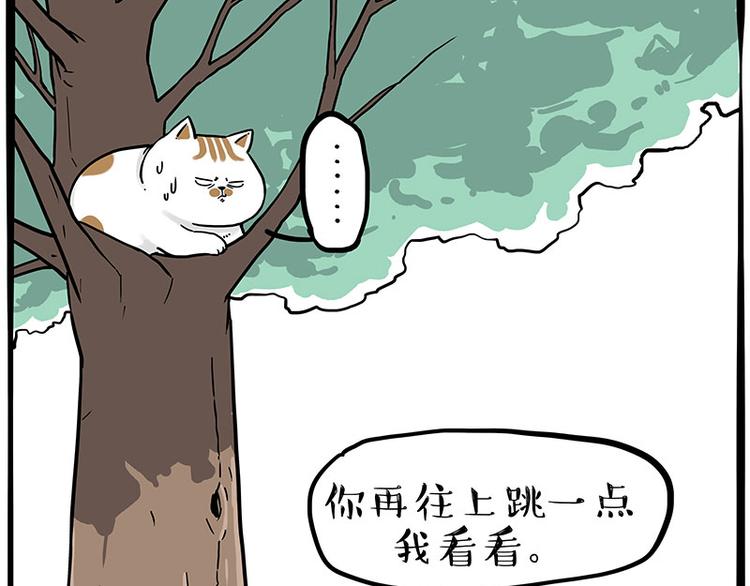第270话 胖老猫你个大骗子！28