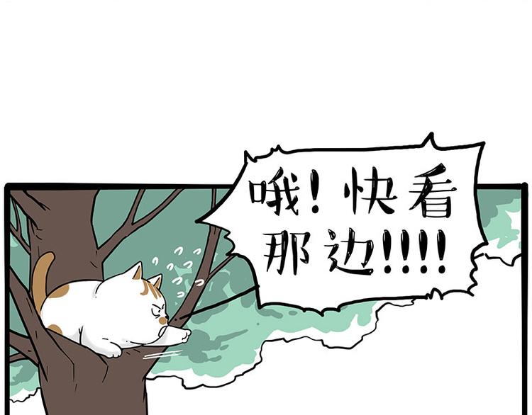 第270话 胖老猫你个大骗子！38