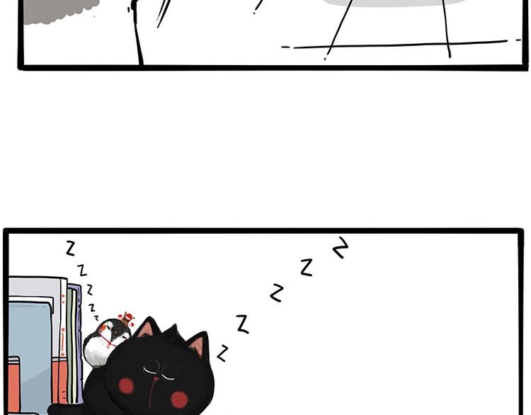 第270话 胖老猫你个大骗子！4