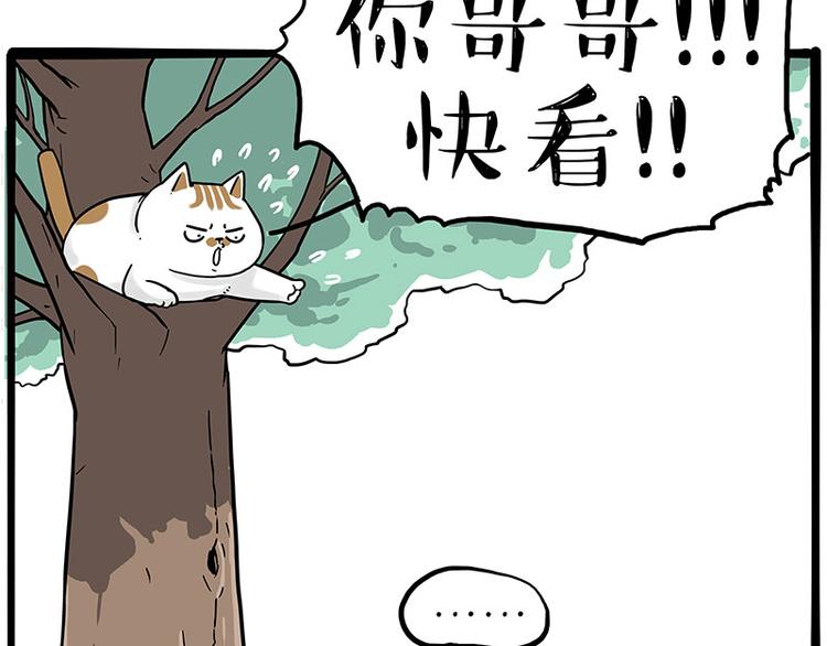 第270话 胖老猫你个大骗子！40