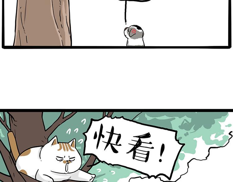 第270话 胖老猫你个大骗子！41
