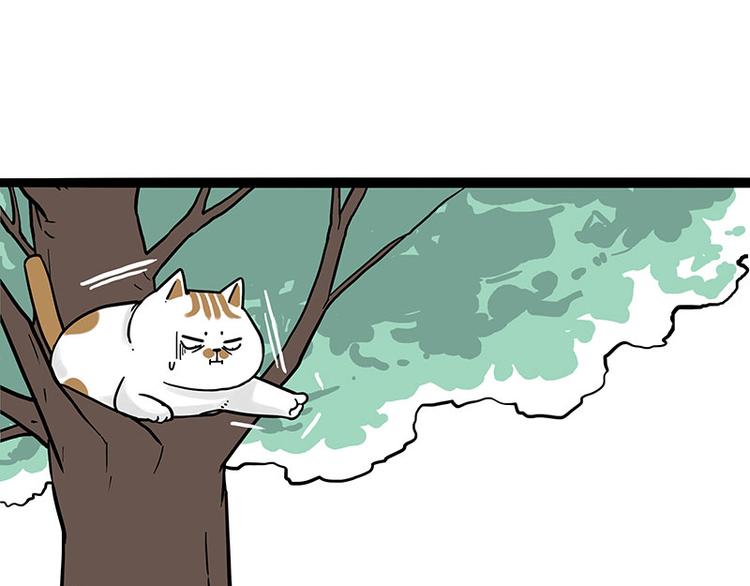 第270话 胖老猫你个大骗子！43