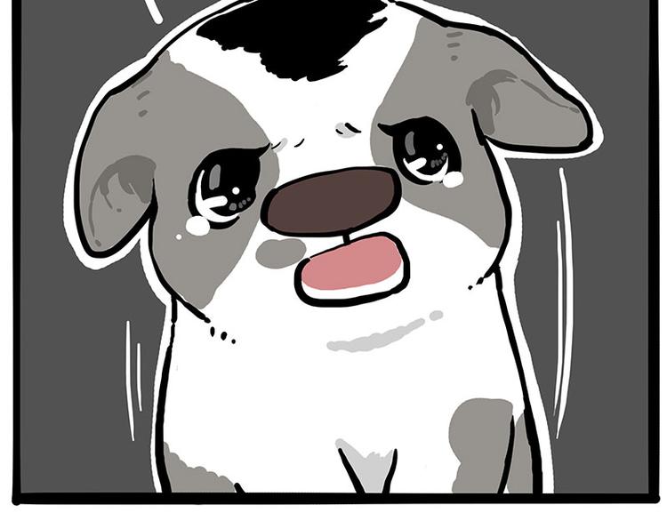 第270话 胖老猫你个大骗子！49