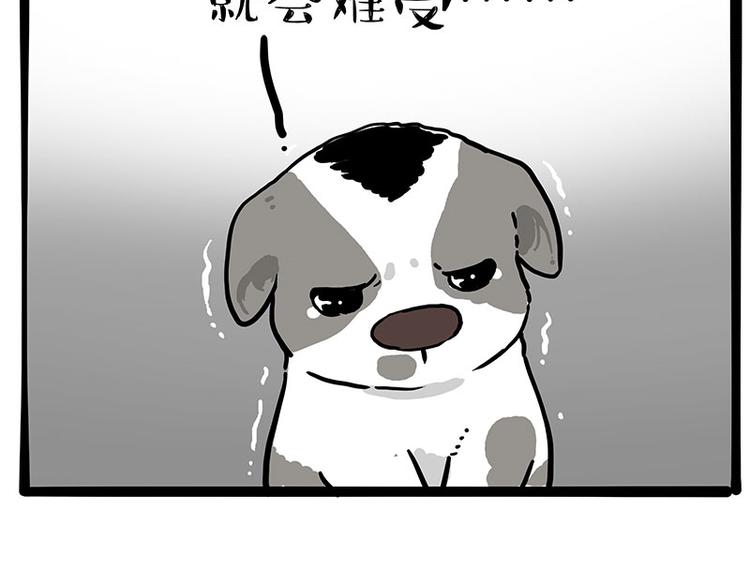 第270话 胖老猫你个大骗子！51