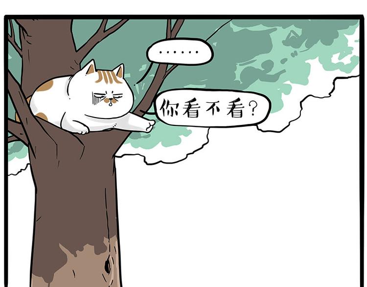 第270话 胖老猫你个大骗子！55