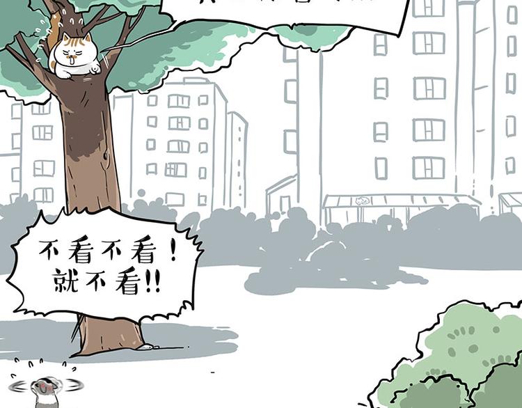 第270话 胖老猫你个大骗子！57