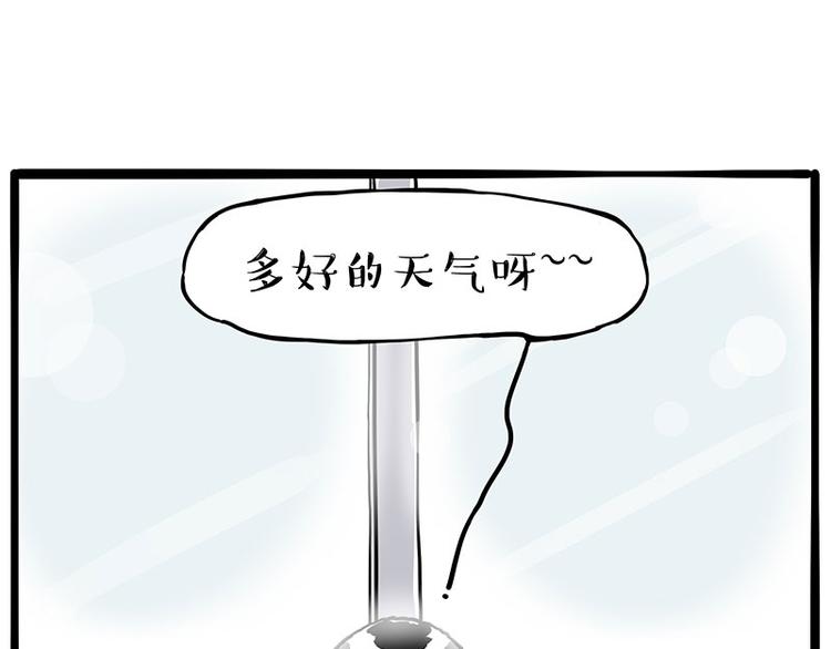第270话 胖老猫你个大骗子！7