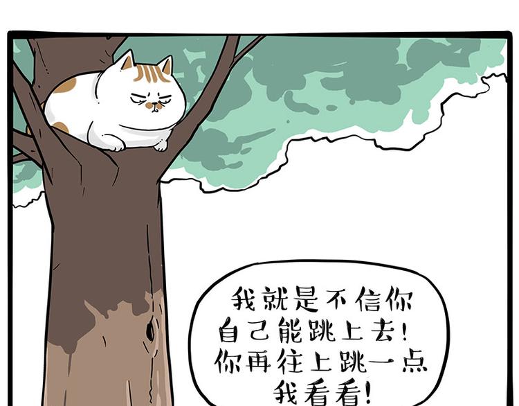 第271话 进击的流浪猫！0