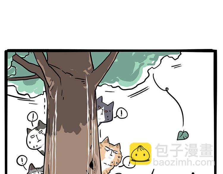 第271话 进击的流浪猫！10