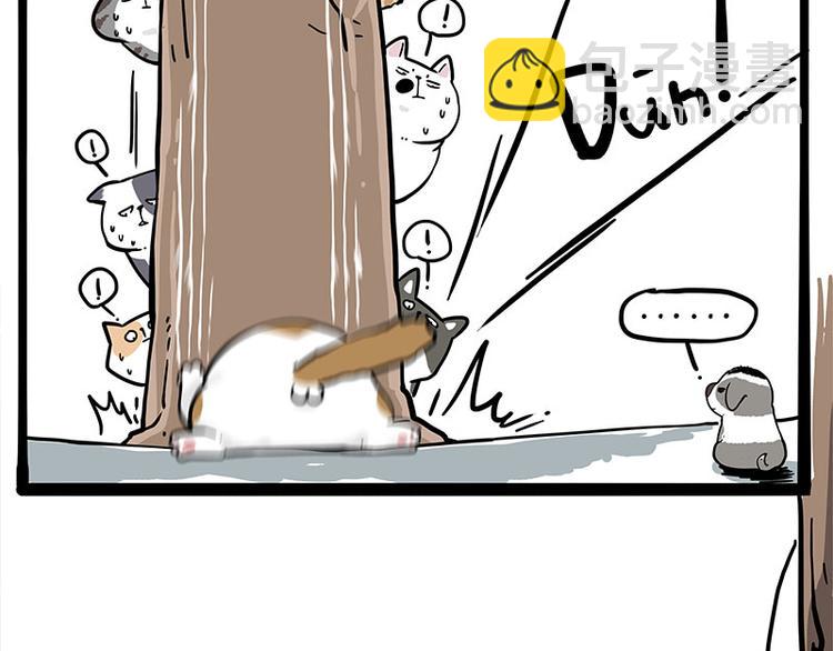 第271话 进击的流浪猫！11