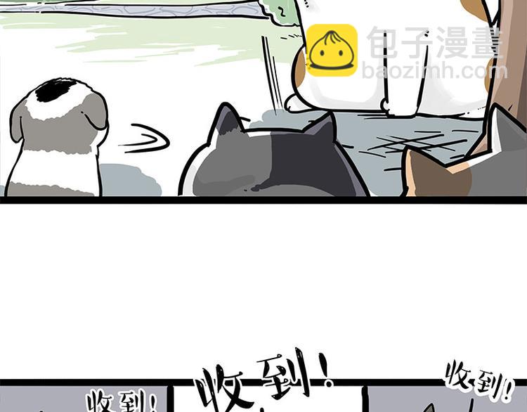 第271话 进击的流浪猫！13