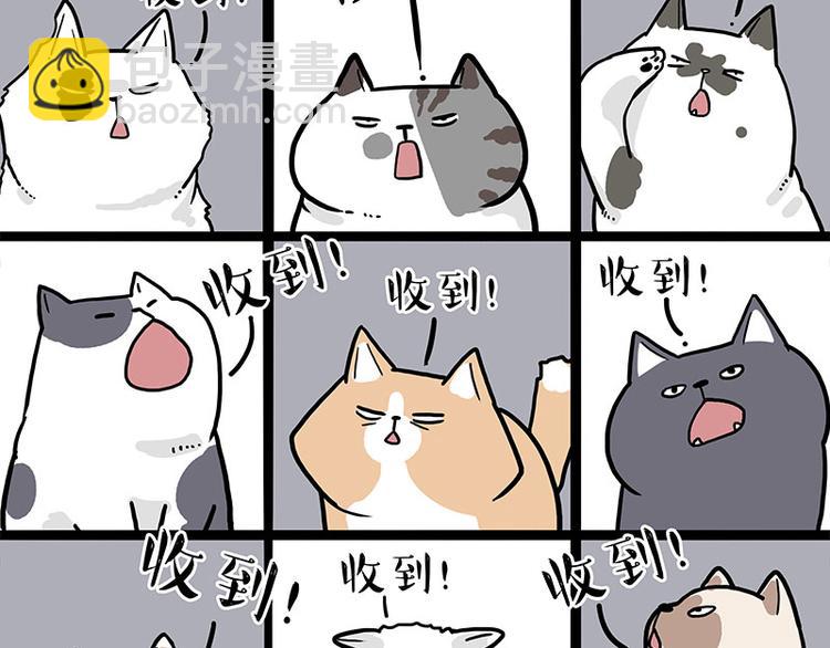 第271话 进击的流浪猫！14