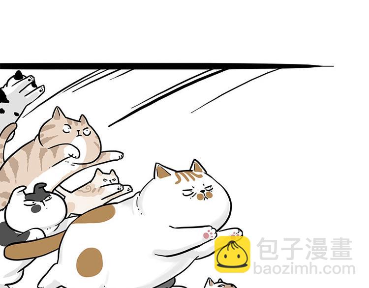第271话 进击的流浪猫！16