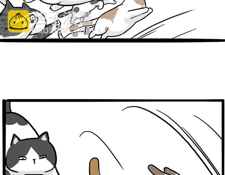 第271话 进击的流浪猫！17