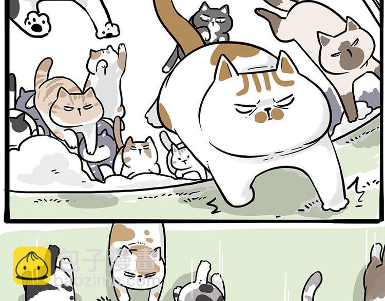 第271话 进击的流浪猫！18
