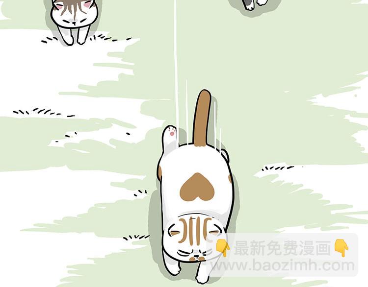 第271话 进击的流浪猫！23