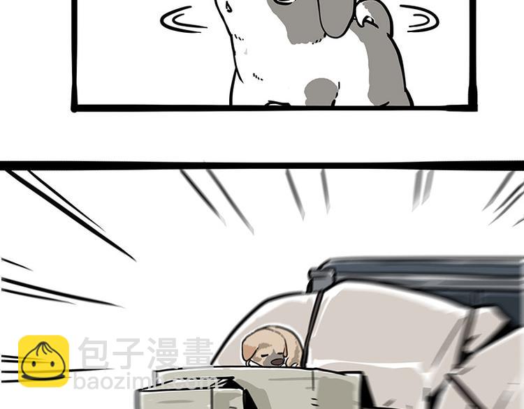 第271话 进击的流浪猫！25