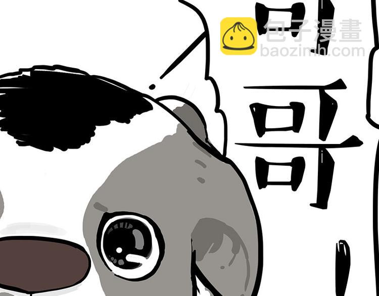 第271话 进击的流浪猫！27