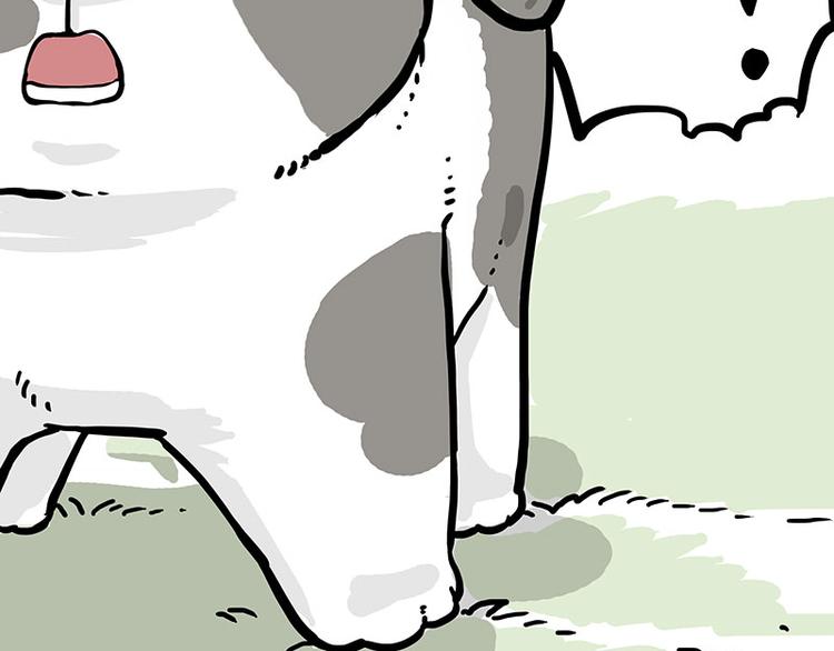 第271话 进击的流浪猫！28