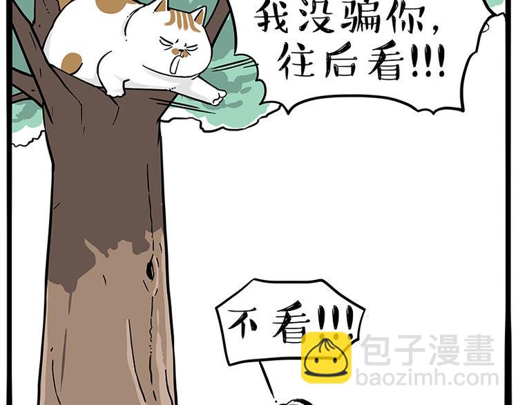 第271话 进击的流浪猫！3
