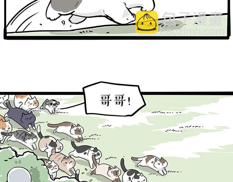 第271话 进击的流浪猫！30
