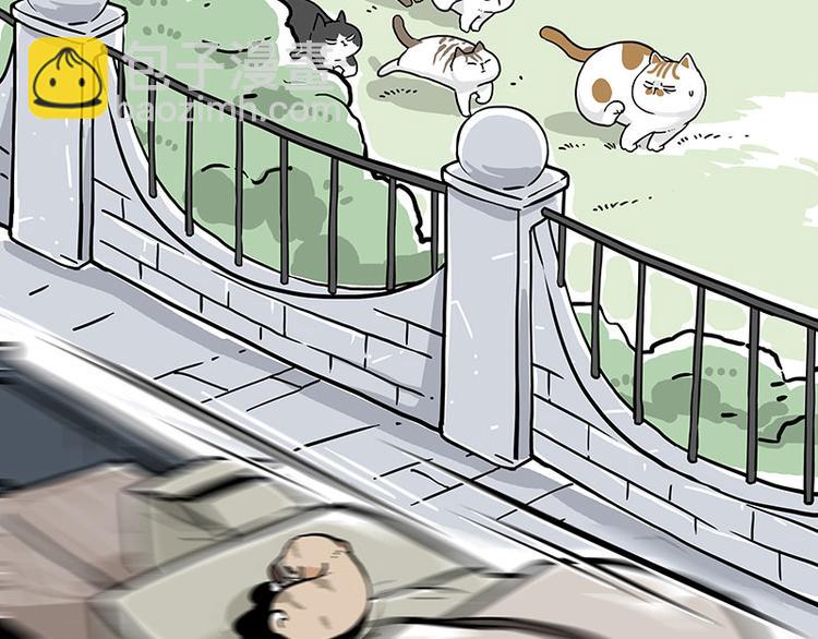 第271话 进击的流浪猫！31