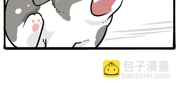 第271话 进击的流浪猫！33