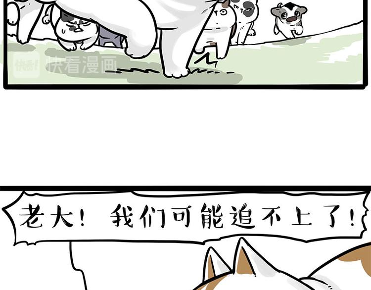 第271话 进击的流浪猫！35